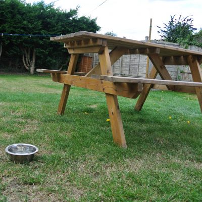 A few homely items for your dog are provided, along with a enclosed garden for them