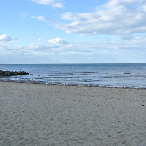 DSC_0914 DSC_0914