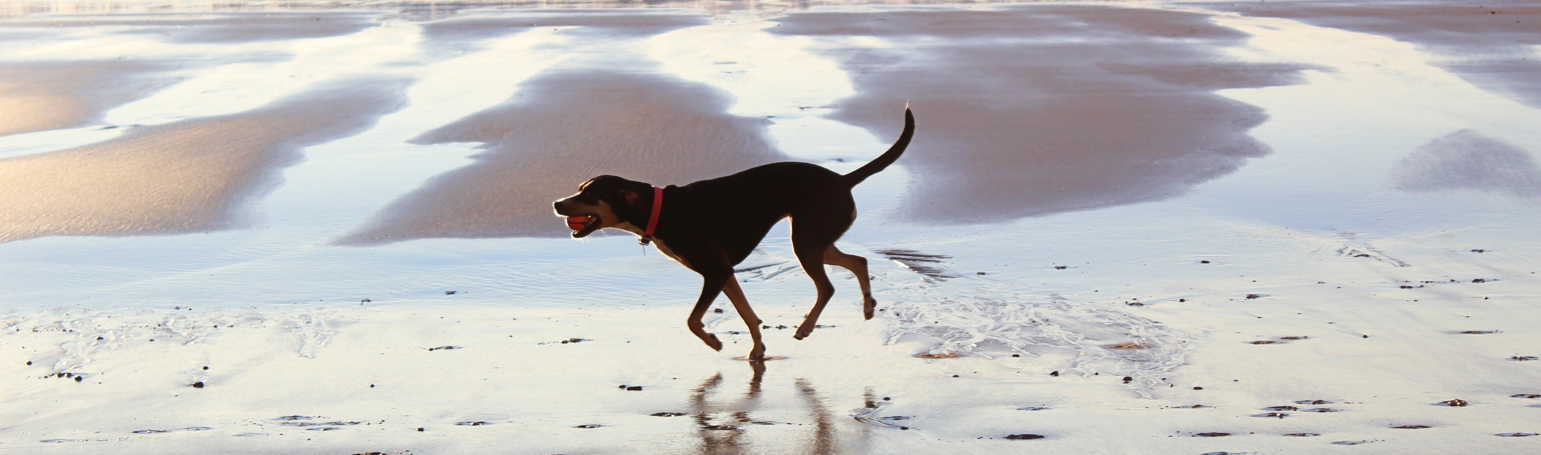 nathalie-ehrnleitner-Y_Q1UAN3IWI-unsplash (2) nathalie-ehrnleitner-Y_Q1UAN3IWI-unsplash (2)